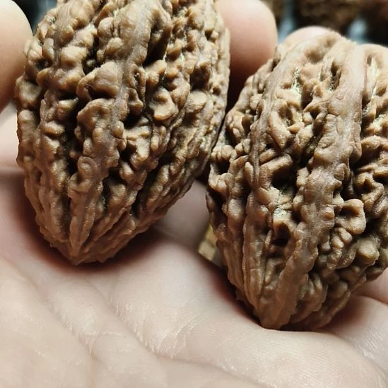 文玩核桃吊坠大楸核桃18号