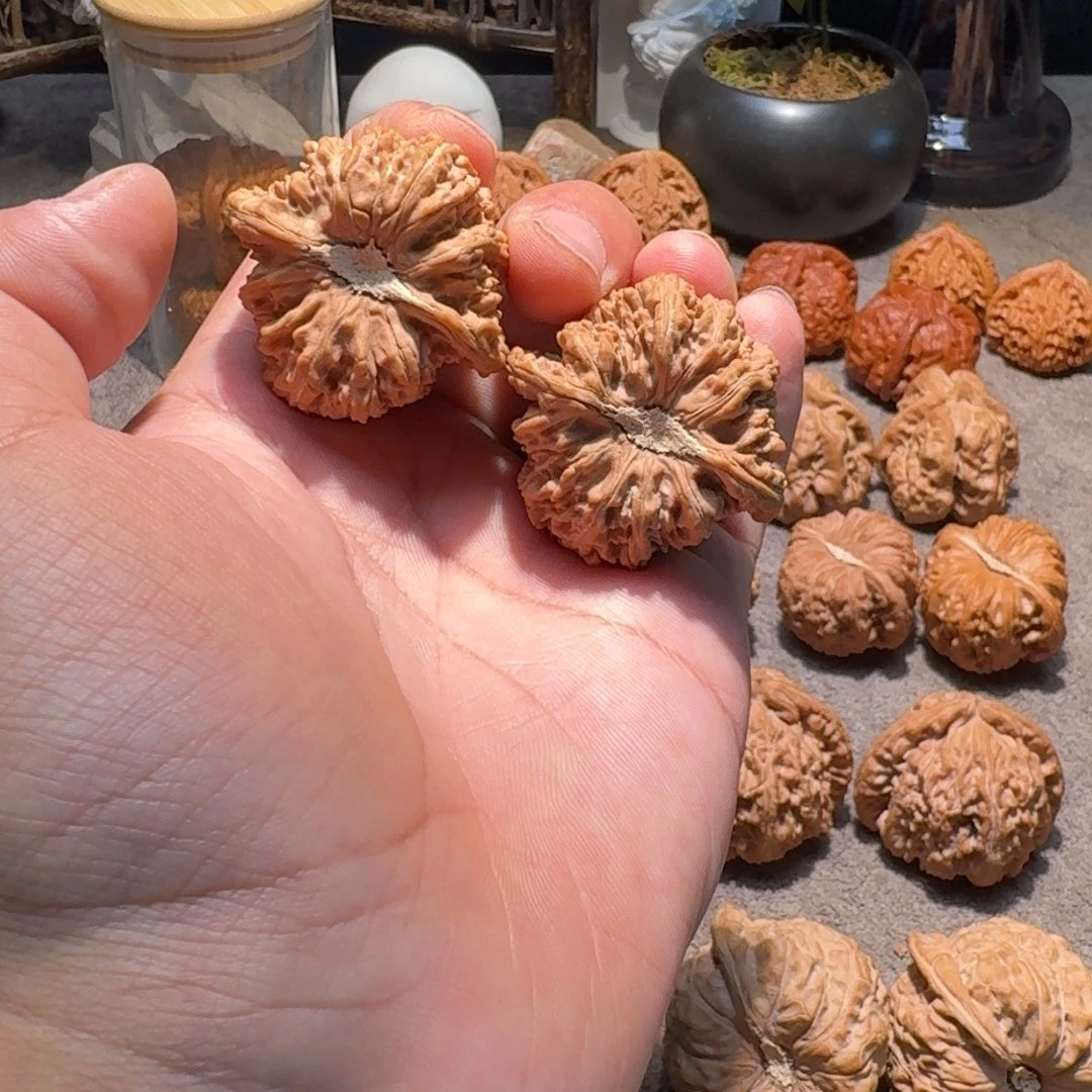手串/手链核桃梅***怪41全品密纹