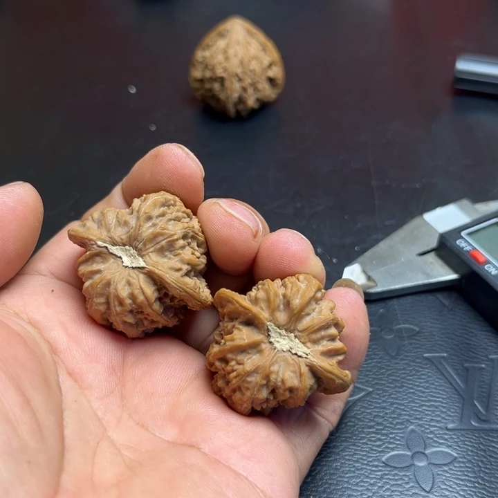 长***风把件文玩核桃密纹核桃