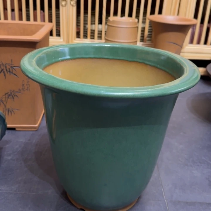 紫砂花盆福利来啦