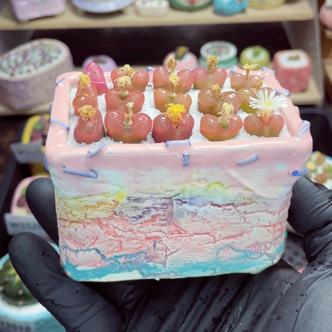 夜间零下地区拍保温箱w5539