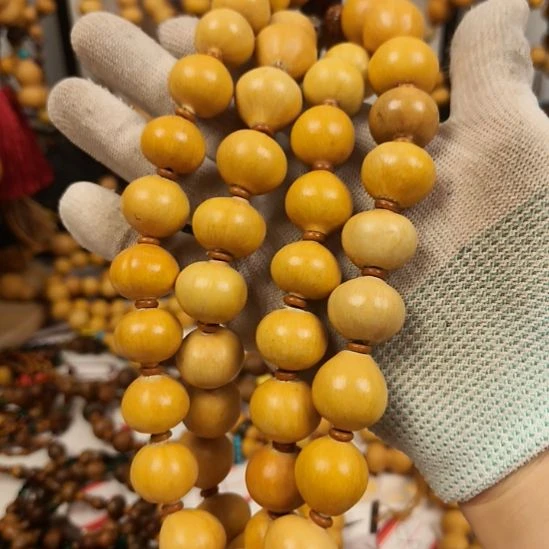 张***浩200aaaaaaaaaaaaaaaa