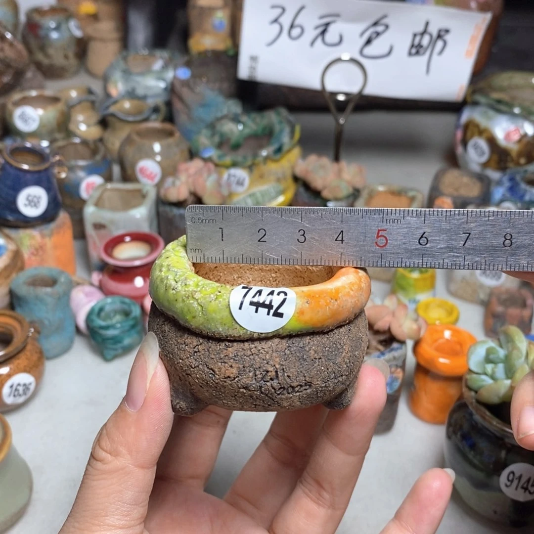 拍3送一个小礼物