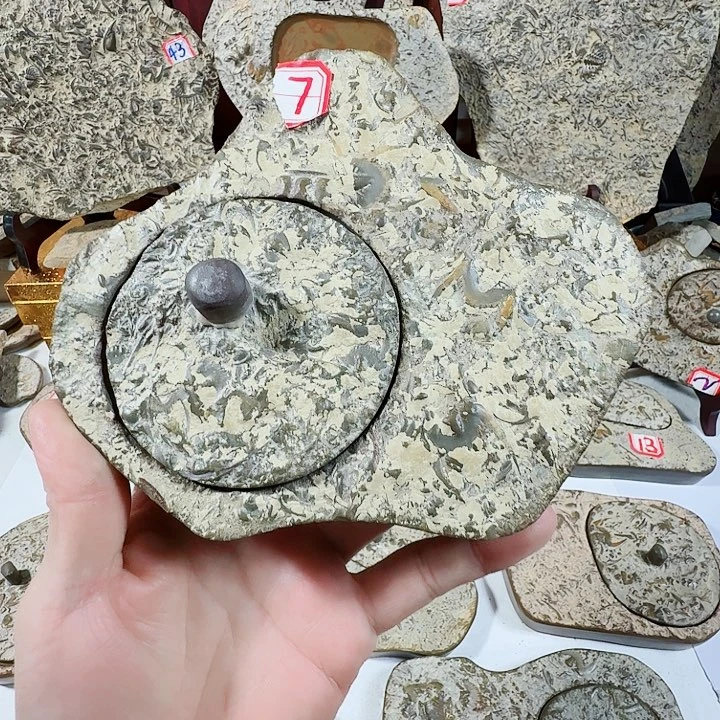山***依燕子石砚台。   福石三叶虫