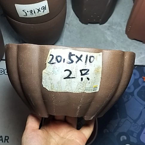 南瓜两个紫砂花盆