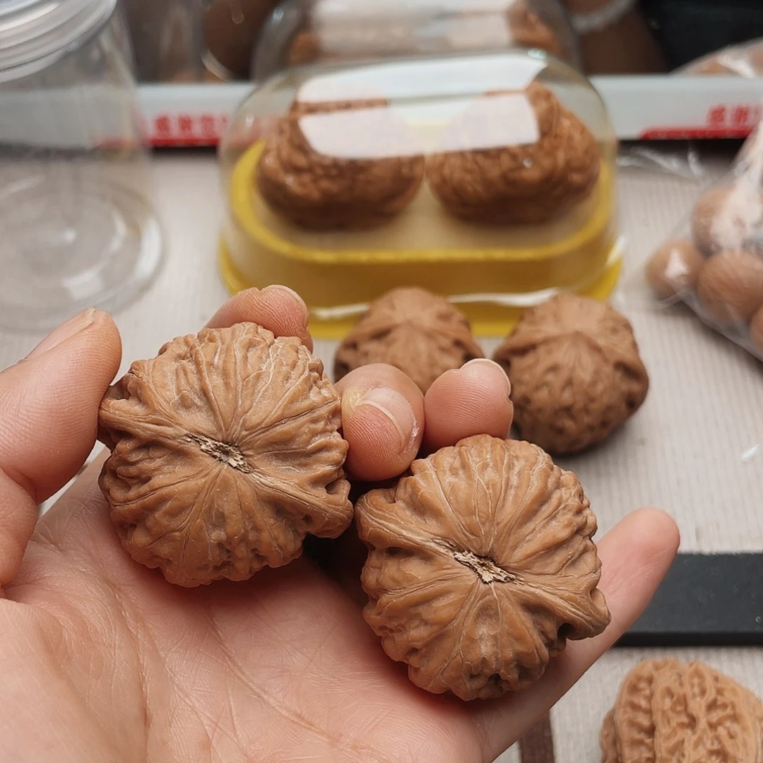 普**仁41铁锤子们冲了我
