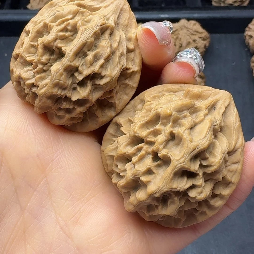 桃木突突突突突突突