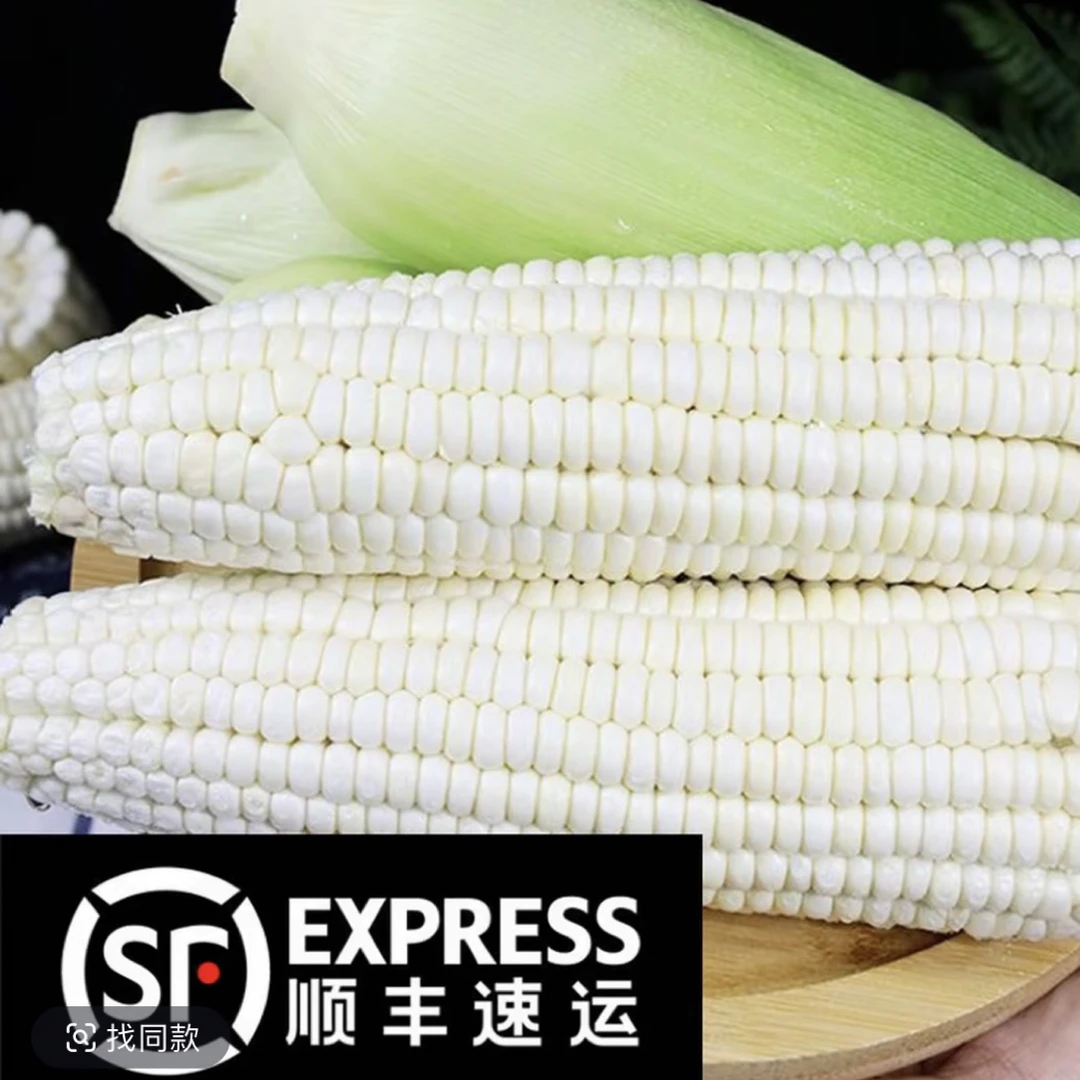 顺丰包邮头茬大棒黑龙江小园农家自种白甜糯玉米