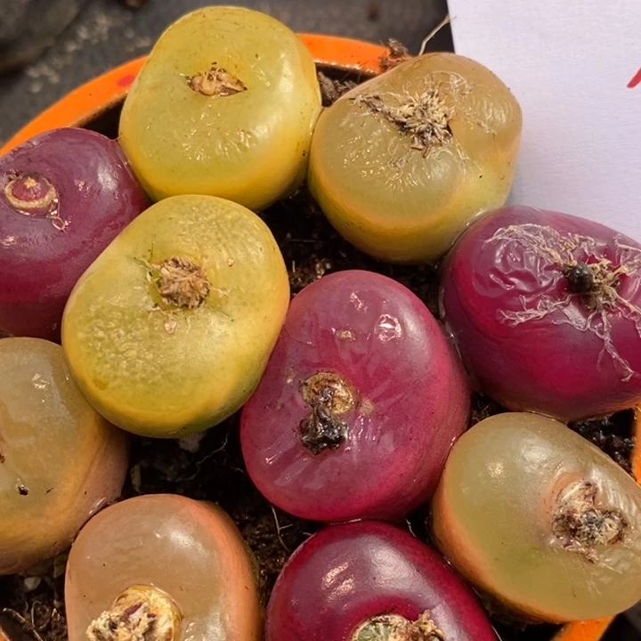 624一组一组一组