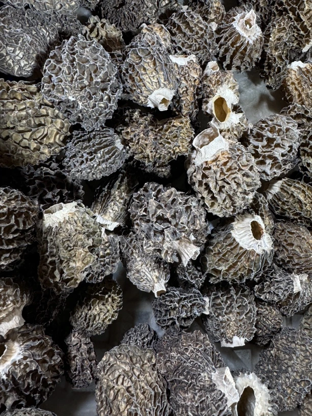 仿野草莓型羊肚菌