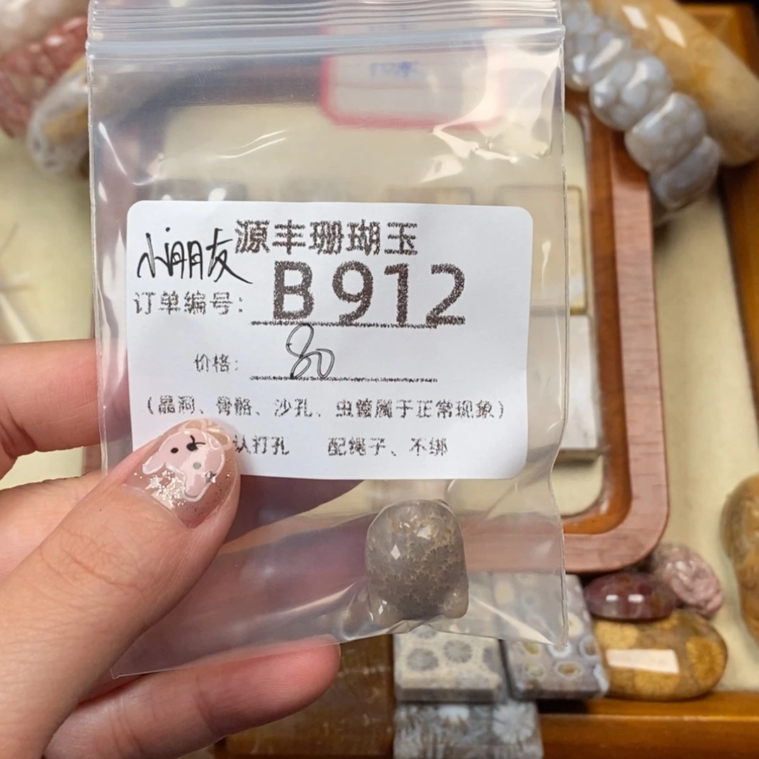 啊***肥未镶嵌颈饰硅化玉