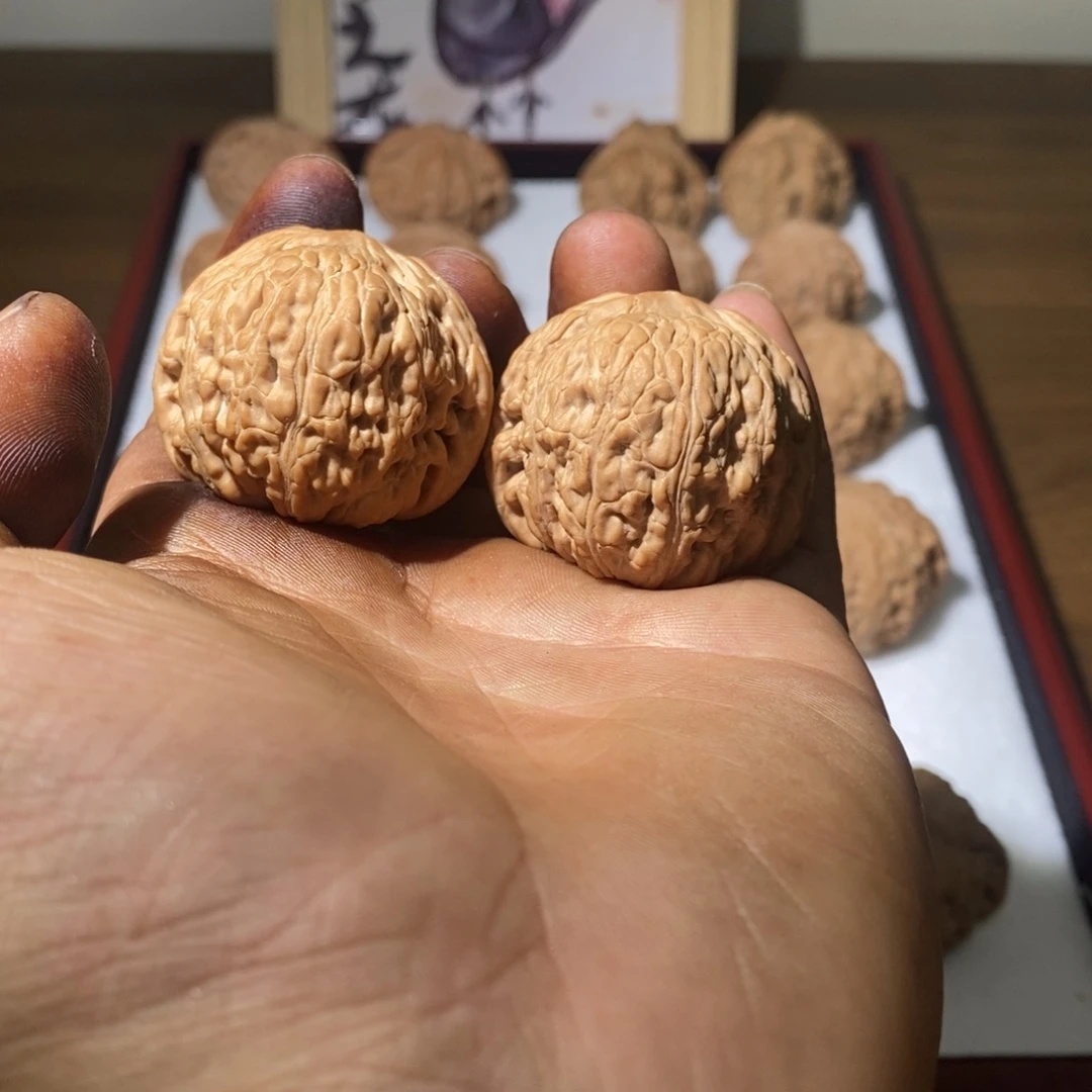 39尺寸泥鳅背头货精品果