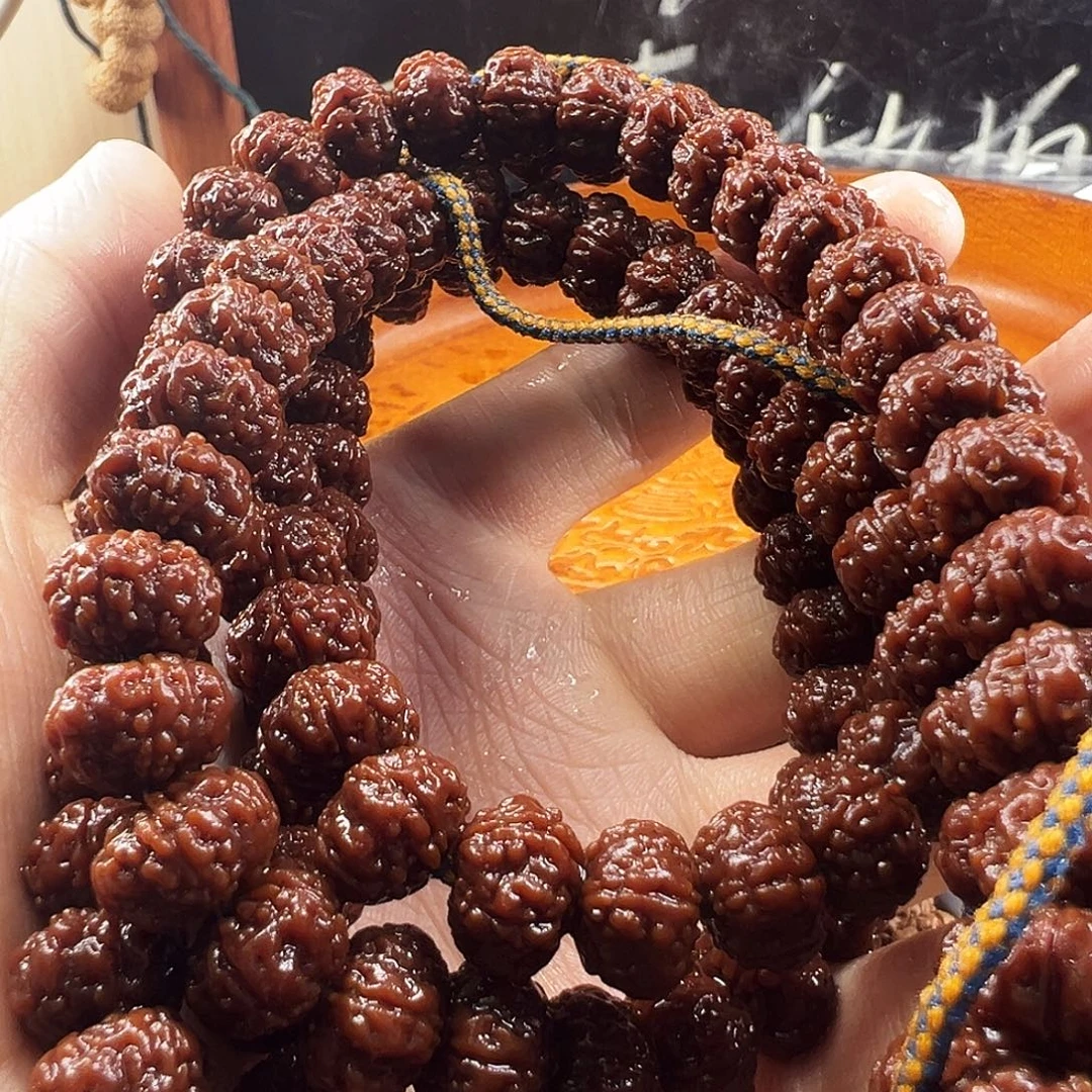 易***༽金刚菩提吊坠勿里达纯血老树王11