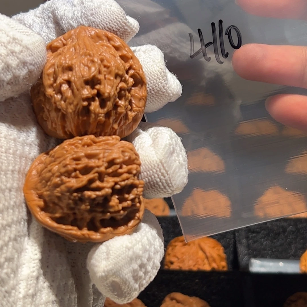 红狮子来了41尺寸