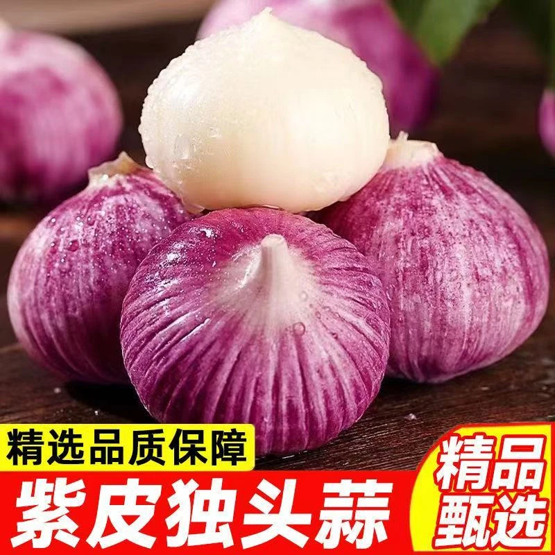 【新鲜独蒜】云南紫皮独头蒜正宗新鲜香辣大蒜头0.5/1/2/3/5斤包邮