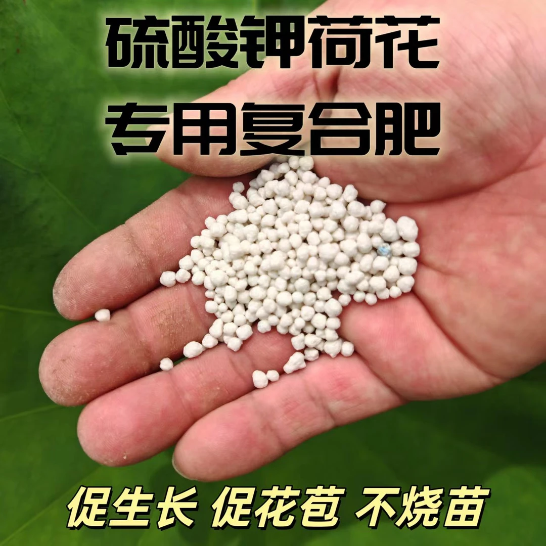 荷花专用硫酸钾复合肥养叶促花通用型花卉盆栽家用复合肥料不烧苗