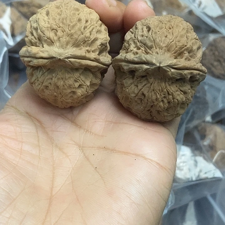 木质类云南铁核桃基地9