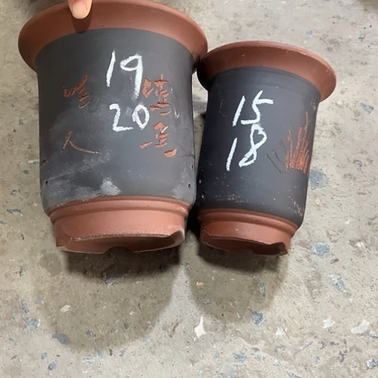 紫砂工艺厂……紫砂工艺厂……