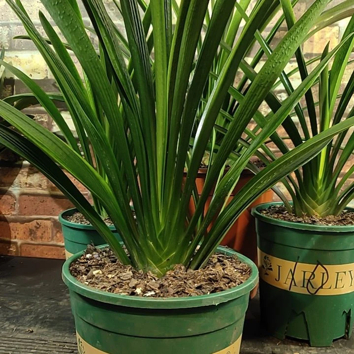 完全开放1111111111