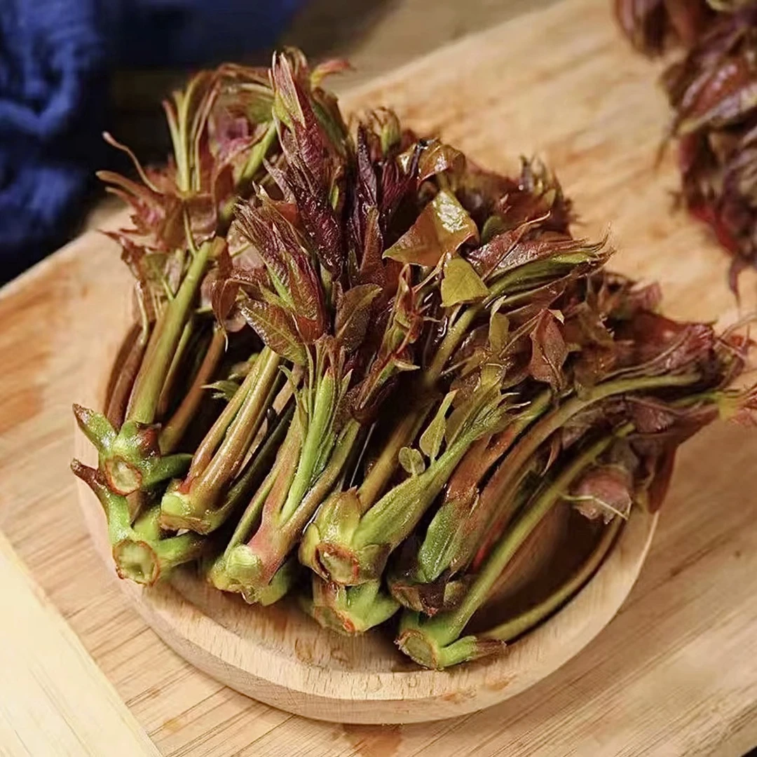 【本地/头茬香椿芽】顺丰包邮/露天香椿芽/新鲜采摘新鲜发