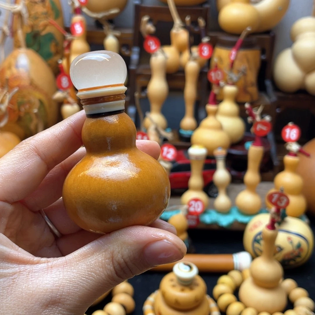 哇*大自然的秘密第十一节你是谁