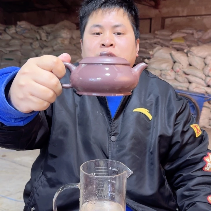 紫砂茶壶紫砂壶紫砂壶11111