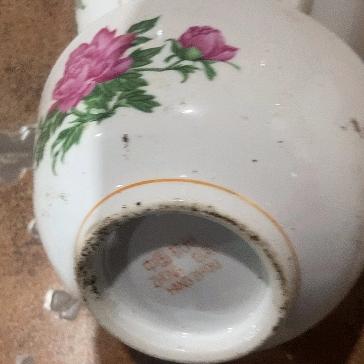 老***期瓷片zvxhfvhbvccbccvbcvb