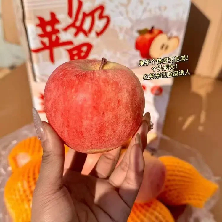 羊奶苹果（山西，5斤左右毛重）