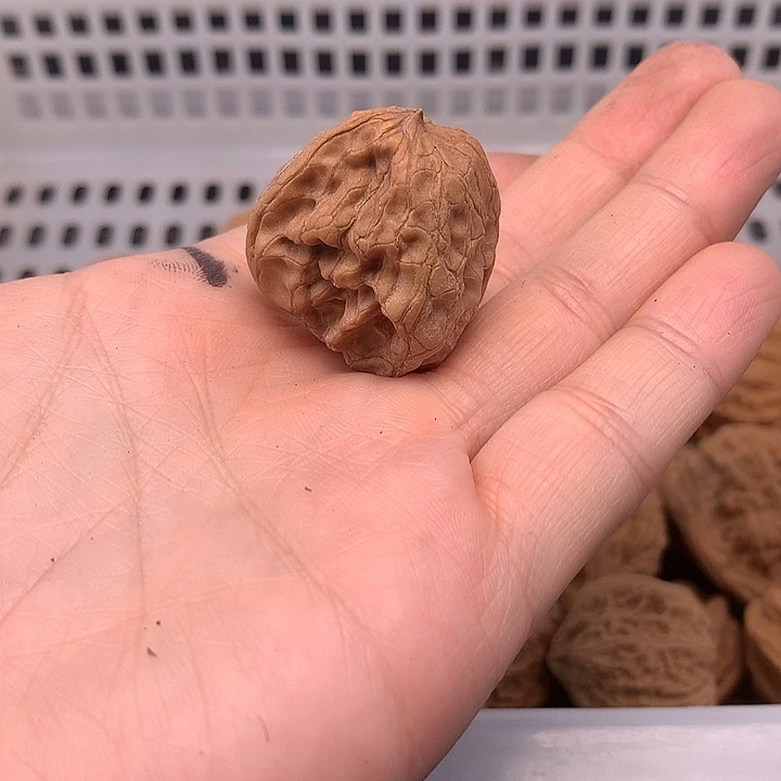 ****吊坠文玩核桃文玩核桃