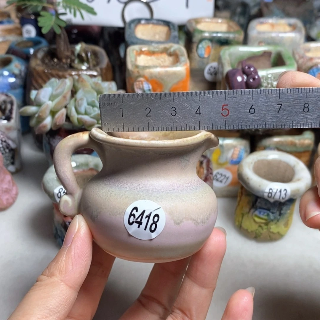 拍5送一个小礼物