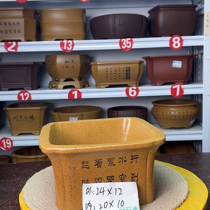 花盆紫砂蛇年大吉