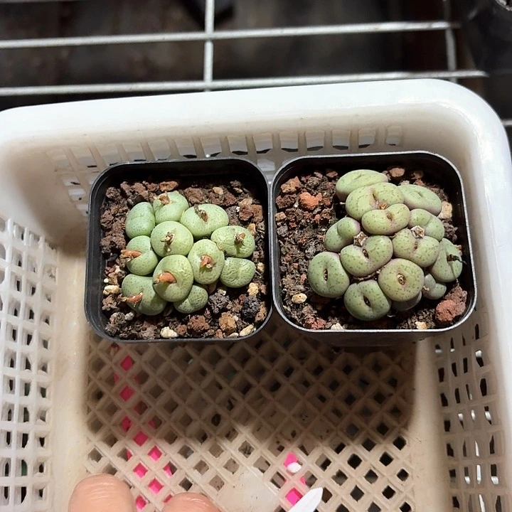 就***名xnxbdhdhfjgj340