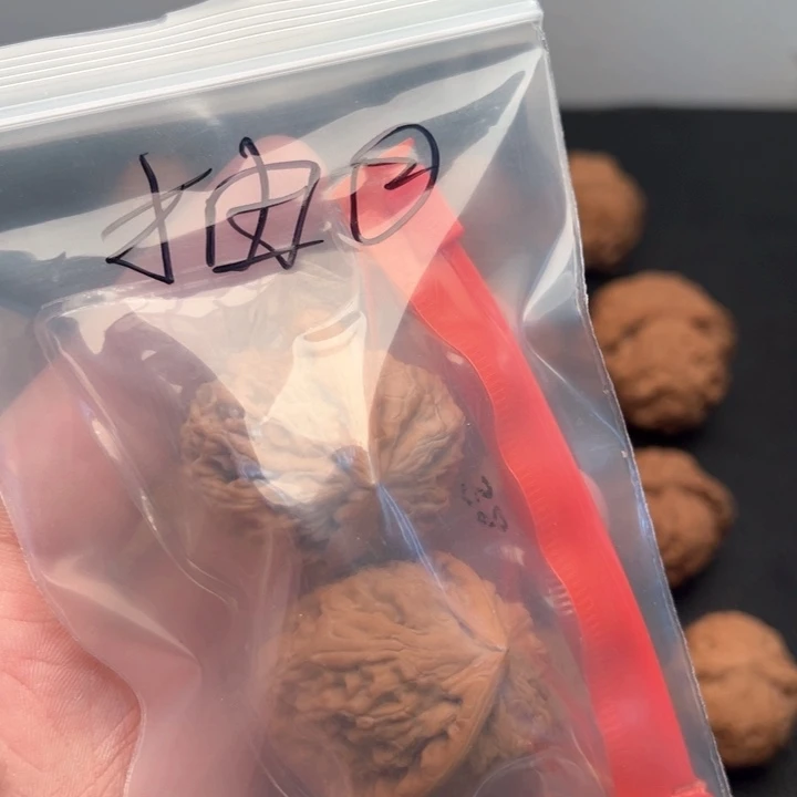 文玩核桃把件人****全三角白