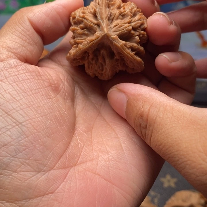 养***后把件文玩核桃盘龙虎头奔