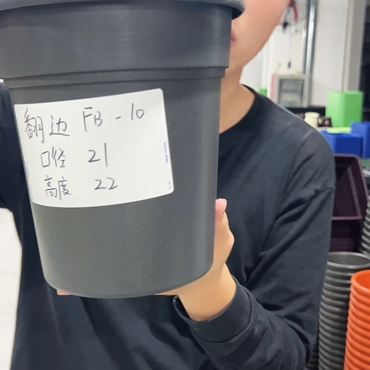 翻边口21高22混色6只无托