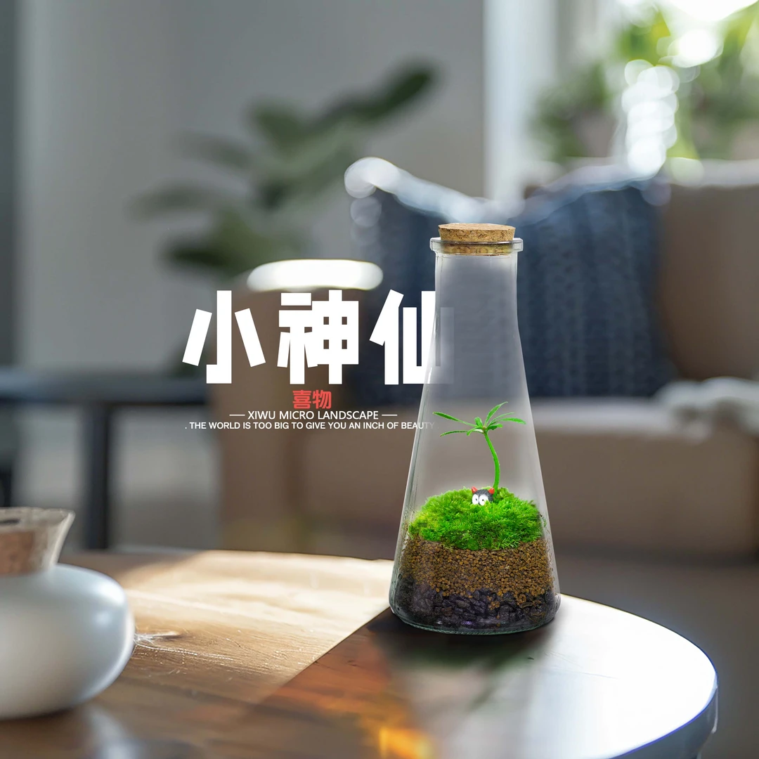 丘辰小神仙绿植盆景苔藓生态微景观造景罗汉松卧室办公桌面摆件