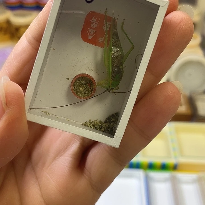 长须微瑕霍氏1啊啊啊