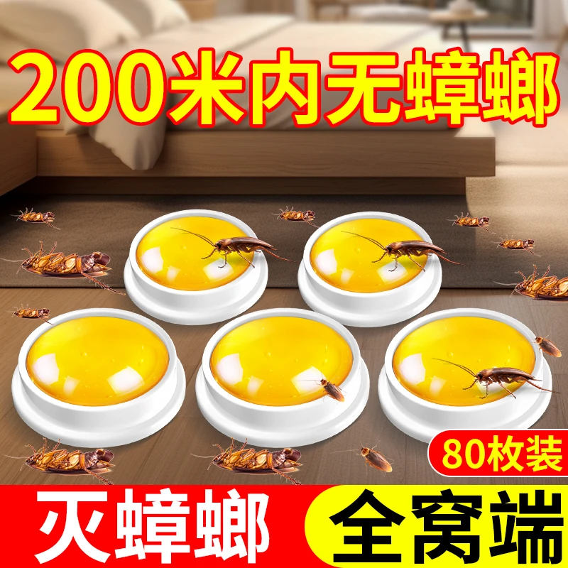 蟑螂药一窝全端非无毒室内家用强力杀虫剂饵灭蟑神器小黑飞虫克星