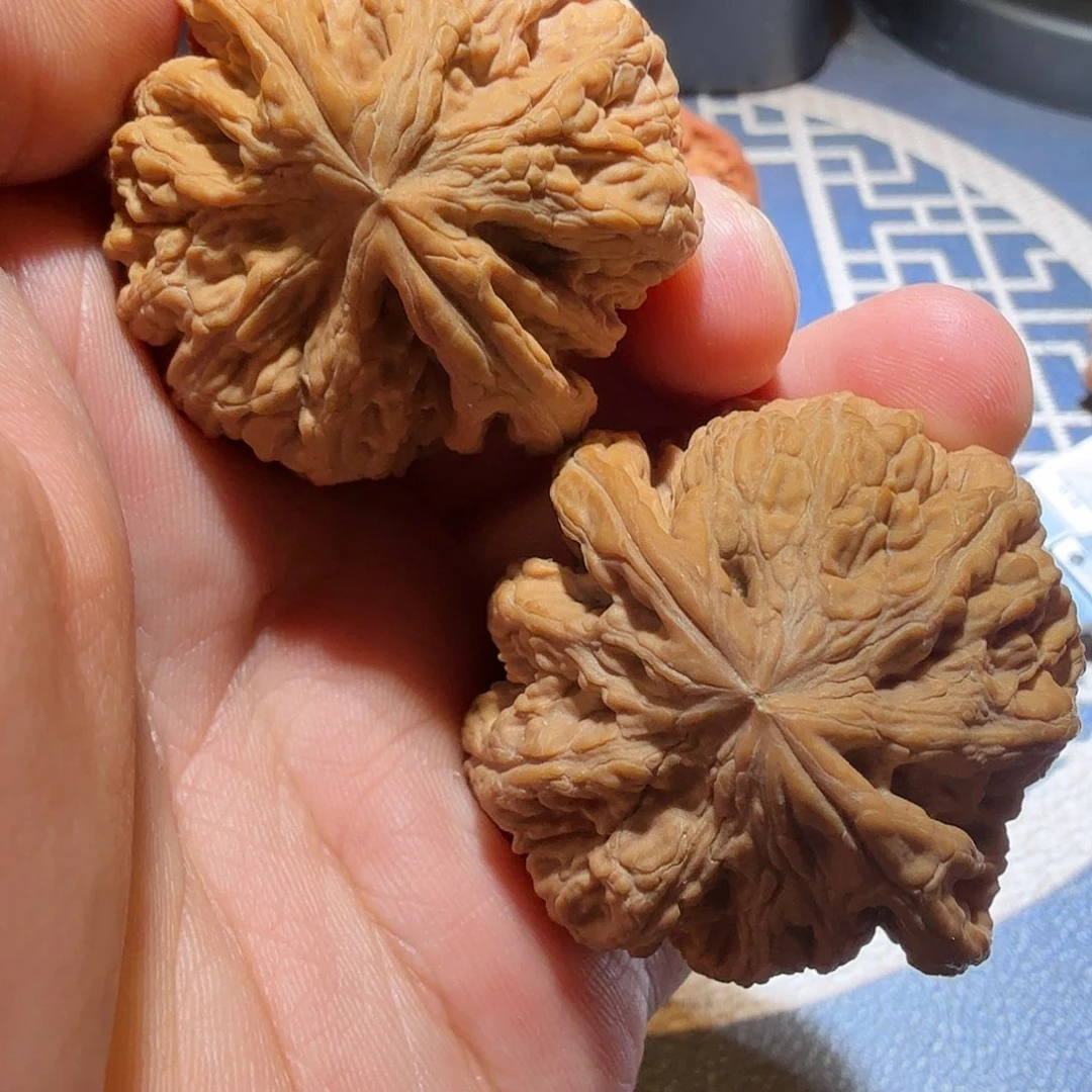 文玩核桃把件大粗筋