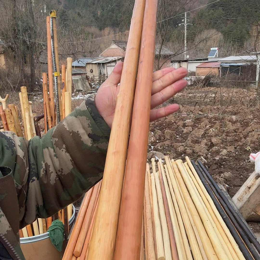 字***人哈哈哈哈哈哈哈哈哈哈