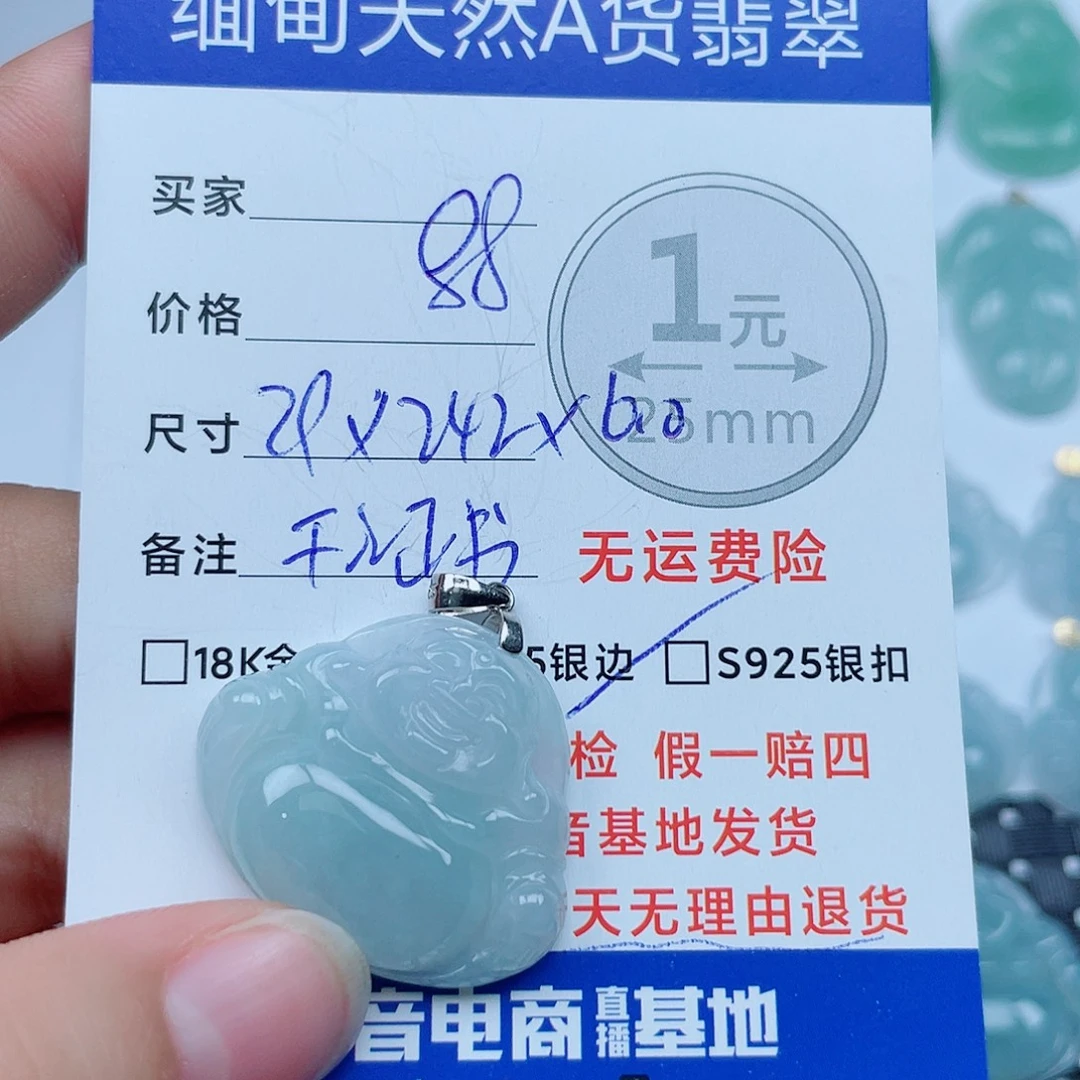 翡翠银S925镶嵌颈饰翡翠