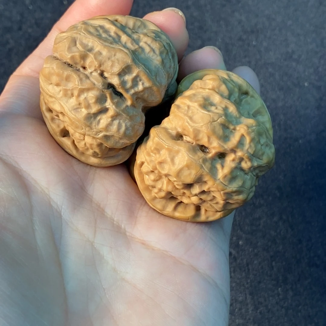 文玩核桃把件40蛤蟆