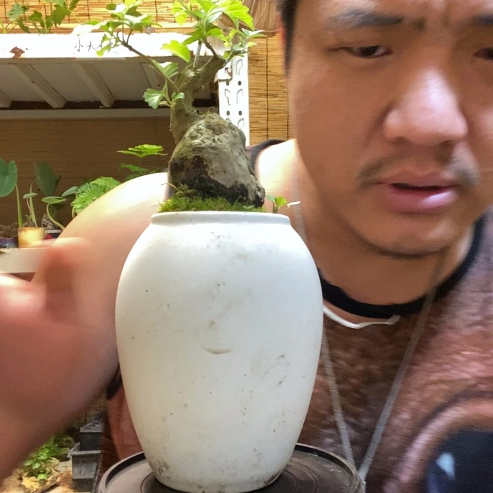 一物一拍所见即所得254