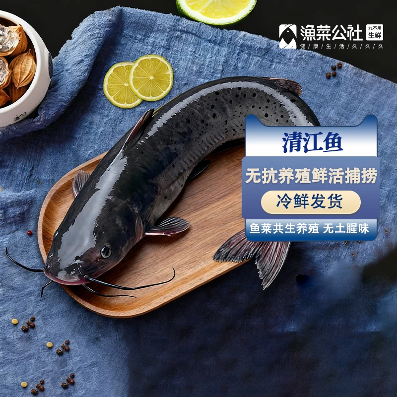 【买一送一】渔菜公社鱼菜共生养殖淡水清江鱼1.8-2.2斤2条活鱼宰杀（京东发货次日达）