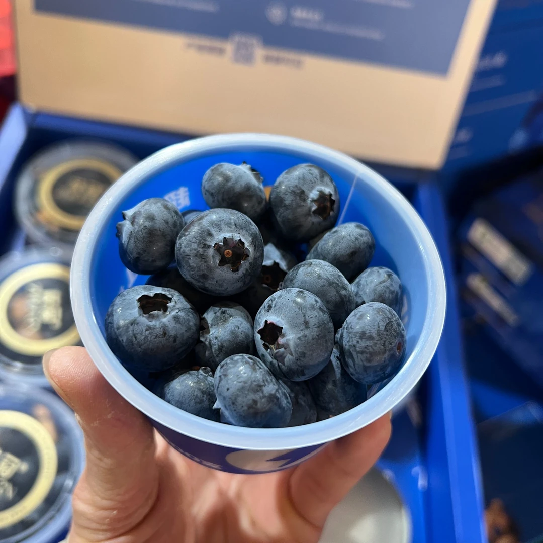 枝冠超能杯花香蓝莓花香味浓郁礼盒装15mm+/18mm+只发川渝