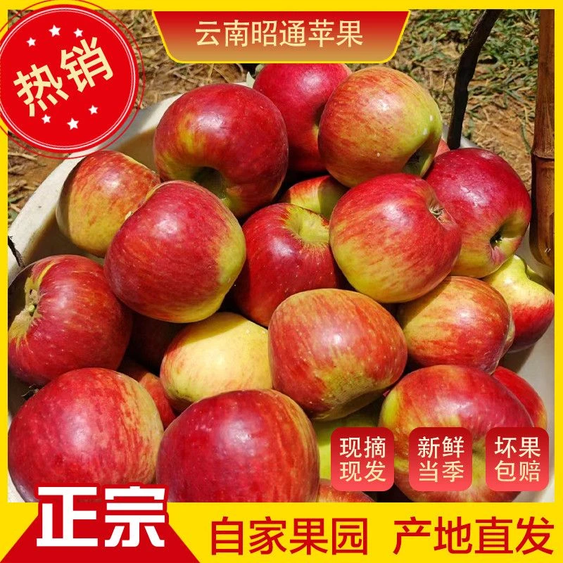 【涛涛助农】正宗高山丑苹果新鲜现摘现发