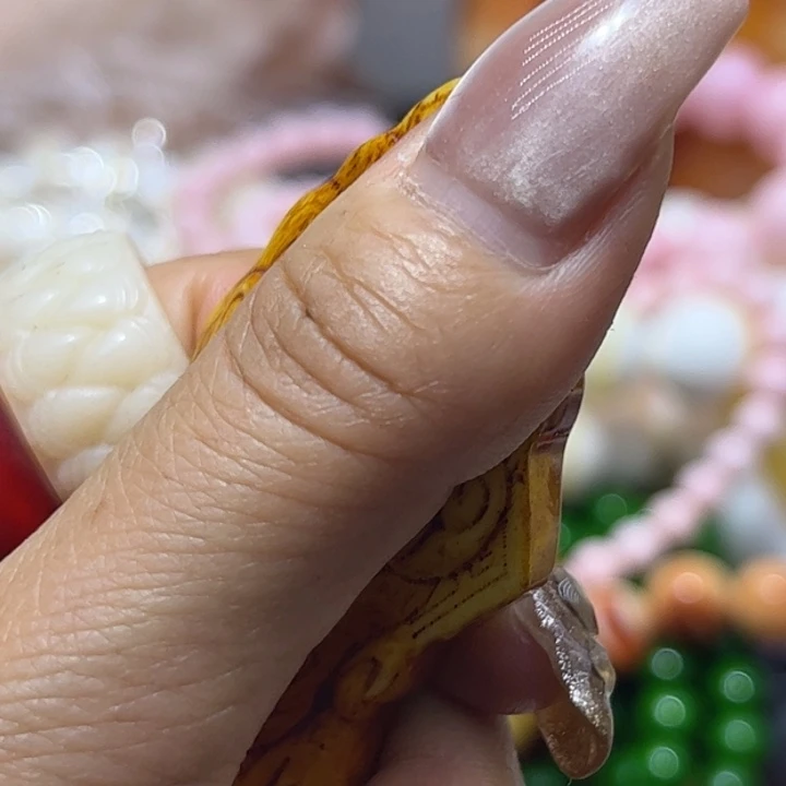 非金属木质法医片