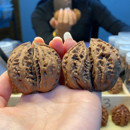 把件桃核双棒楸子231
