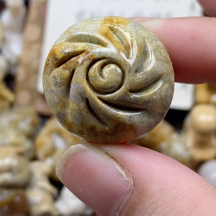 颈饰未镶嵌硅化珊瑚（珊瑚玉）没打孔