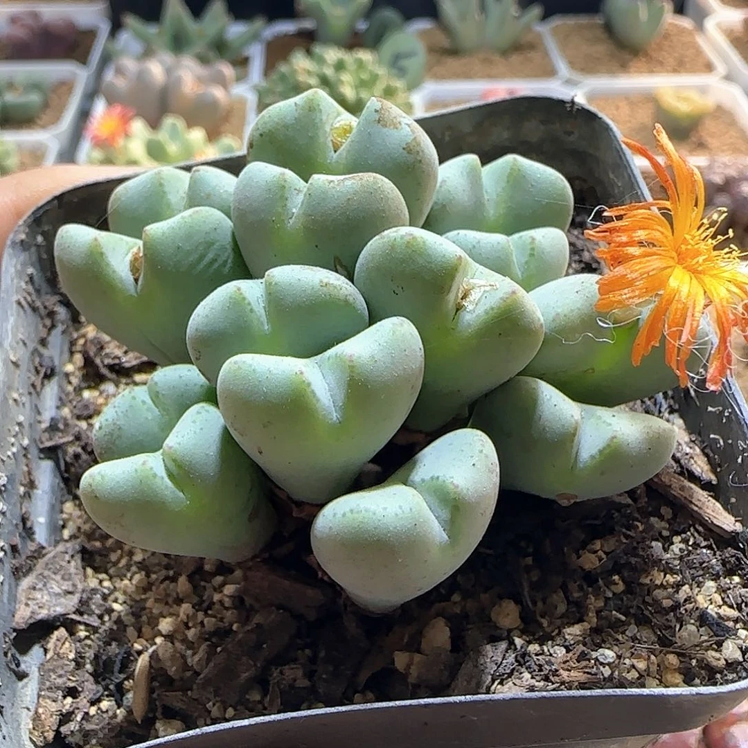 哈哈哈哈哈哈哈57463